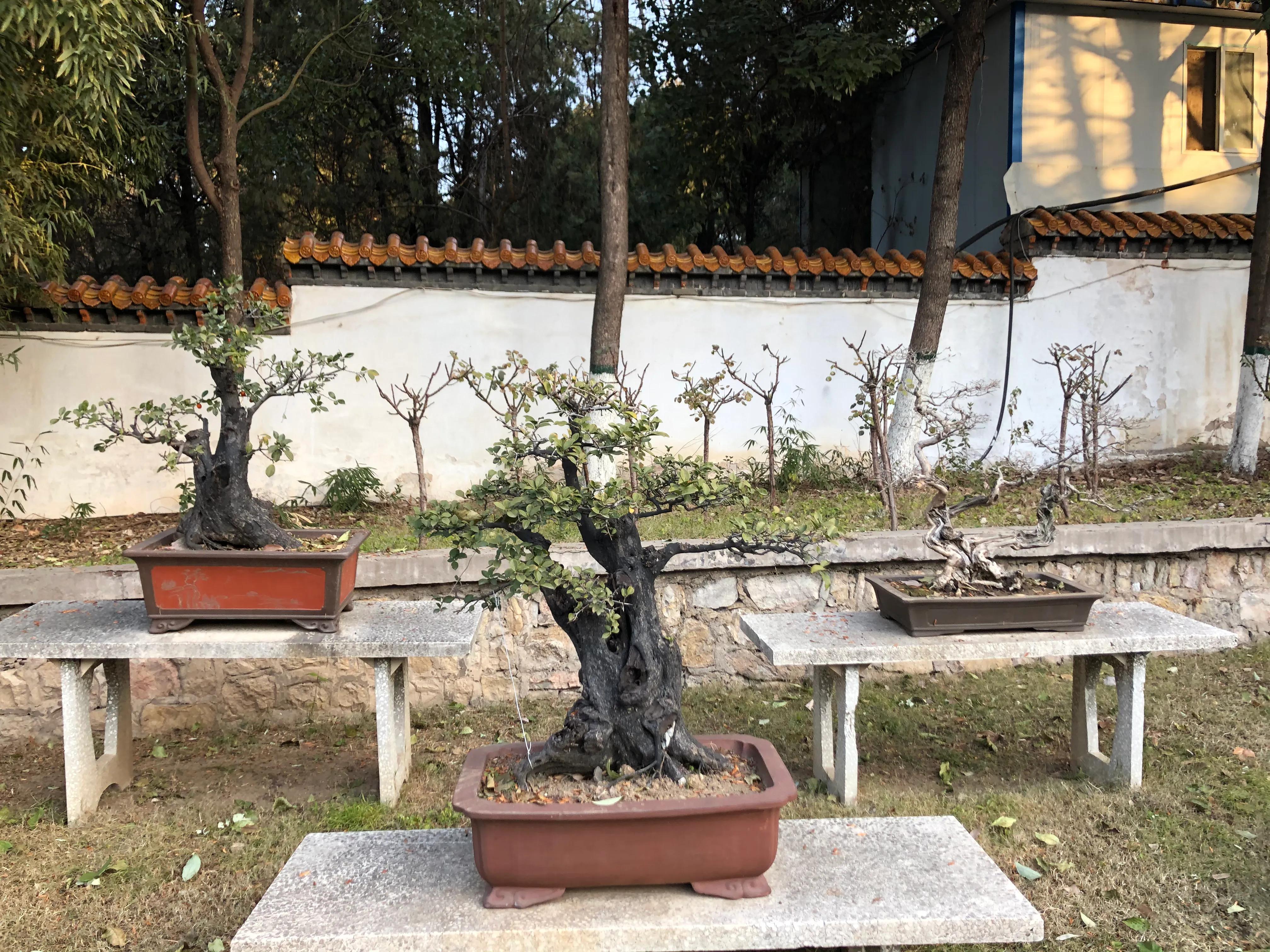 平顶山河滨公园旅游攻略,平顶山森林公园游记