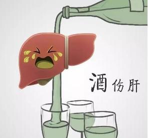 轻度脂肪肝肝功能正常血脂偏高,什么是轻度脂肪肝