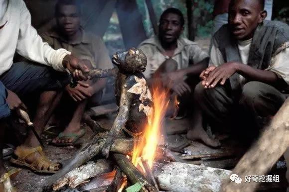 恐怖蝙蝠纪录片,蝙蝠有多可怕小说