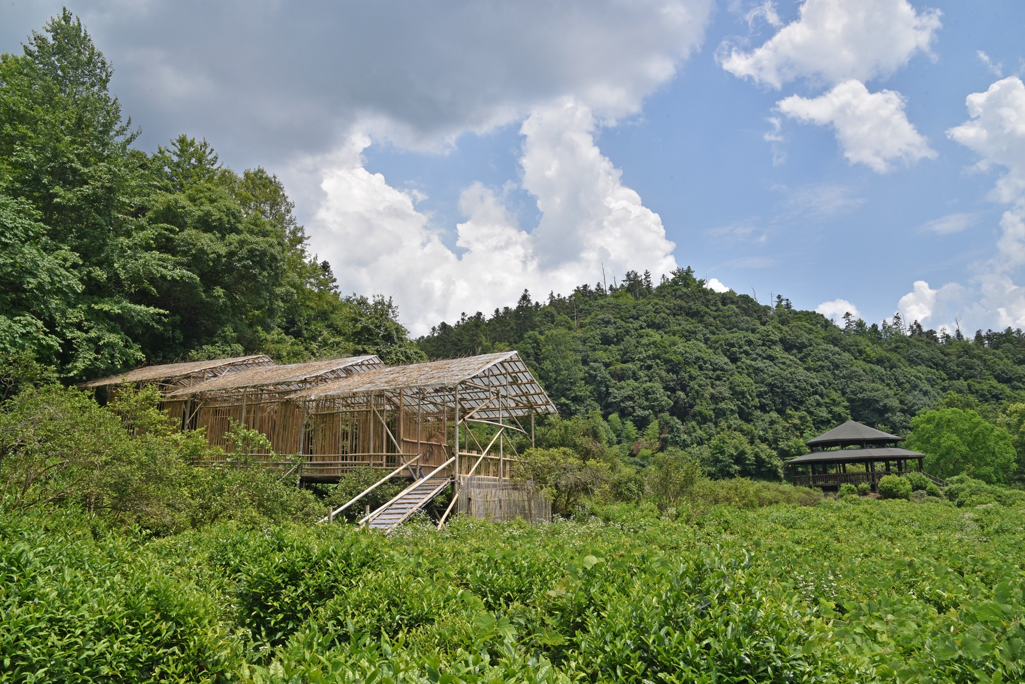 景德镇近代瓷器发展,千年瓷都景德镇有哪些瓷器