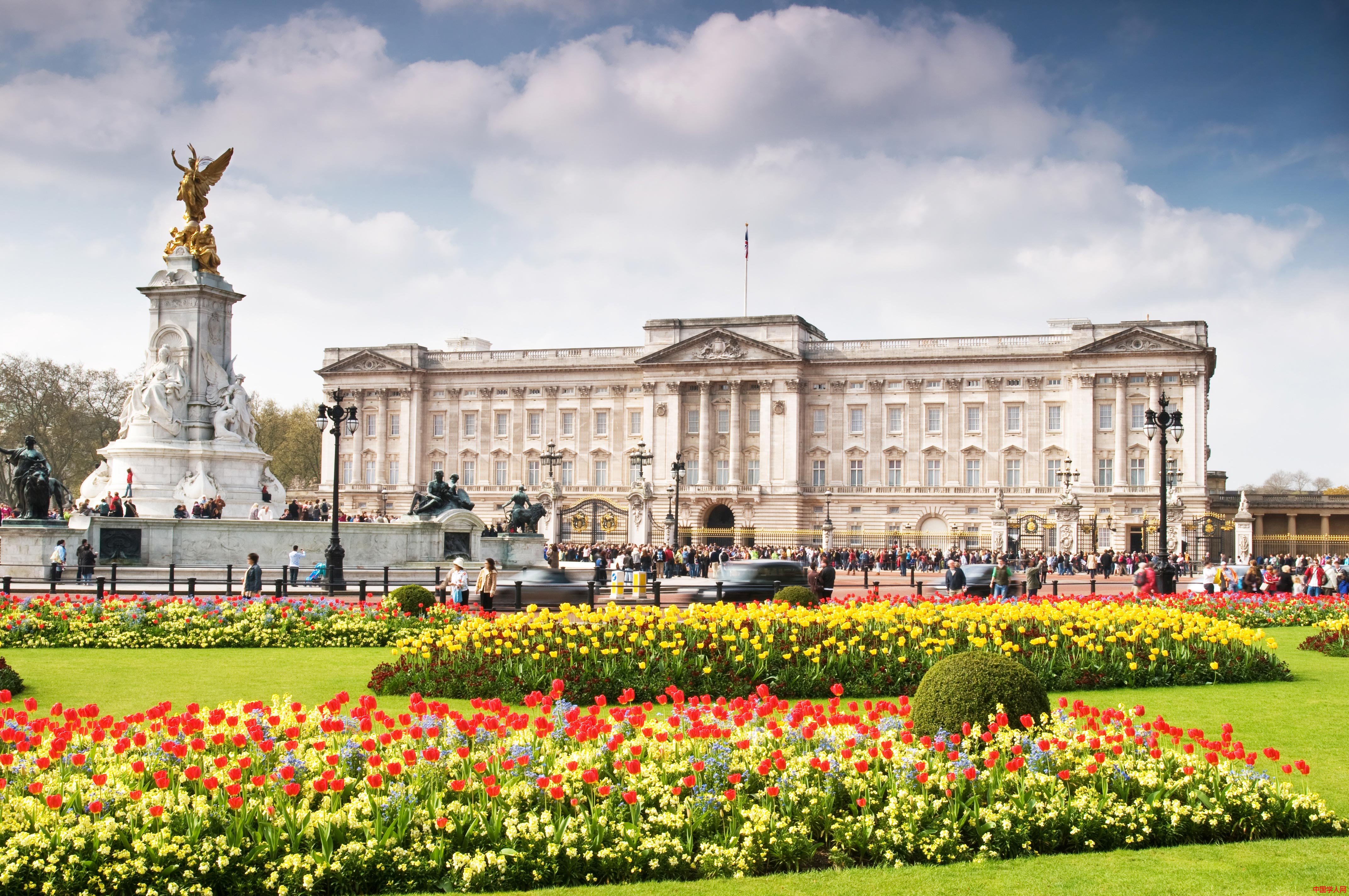 爱尔兰猎狼犬冷知识,爱尔兰你不知道的国家冷知识