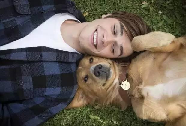 狗狗冷知识小视频图文版,狗狗冷知识8