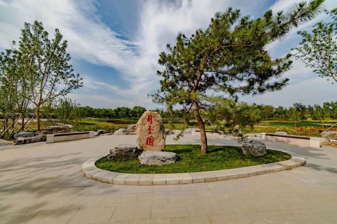 去看万紫千红的花海,五一近郊赏花去看缤纷七彩花田