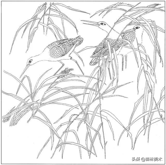 现代国画工笔花鸟白描及完整版,路雨年工笔白描花鸟团扇高清图片