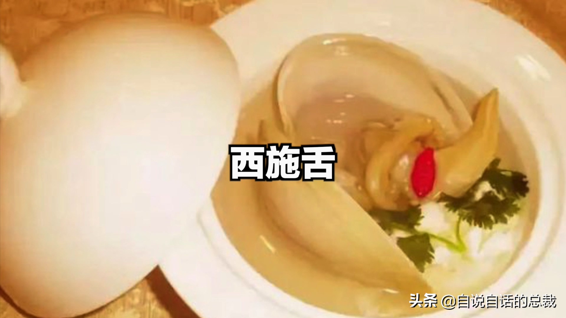 蚬蚌蛏的区别是什么,蚶子蛤蜊蚬子区别