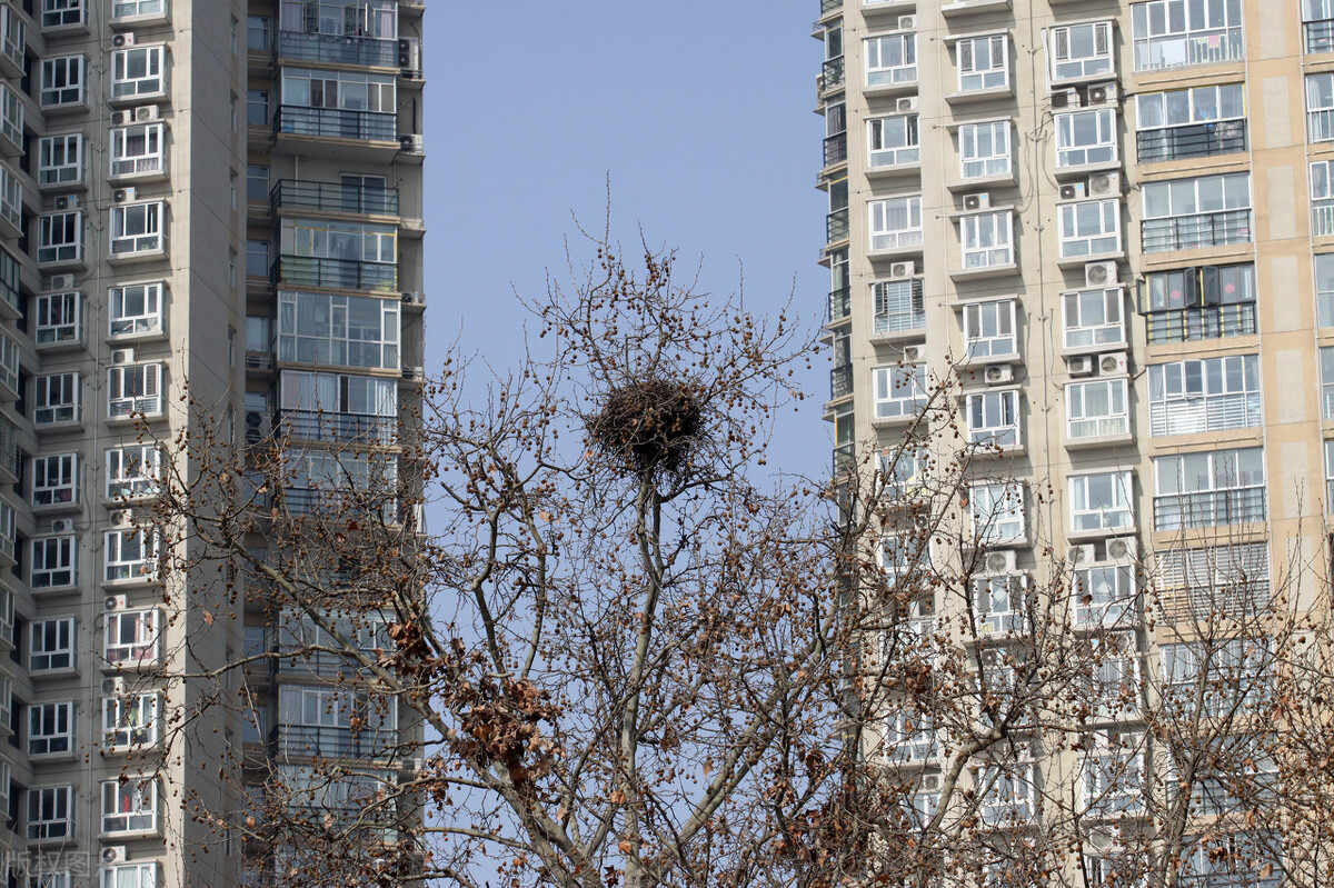 电梯房与楼梯房哪个保值,电梯房和楼梯房哪个更好