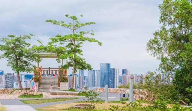深圳免费公园哪里最好啊,深圳十大免费公园景点大全