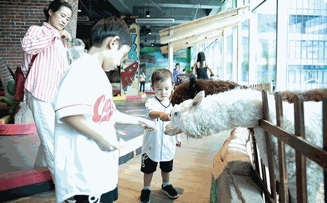 深圳十大暑假室内必去景点,深圳暑假值得带孩子旅游的地方