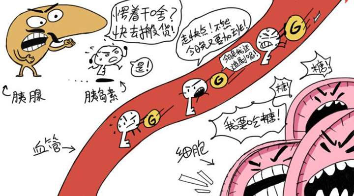 减肥成功不反弹多久变成易瘦体质,减肥坚持一段就成易瘦体质