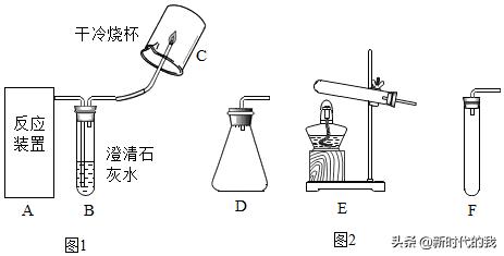 七年级下册科学实验探究题及解析,河北人民出版社四年级科学实验题