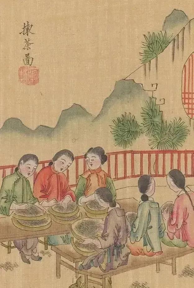 凤凰制茶工艺流程,大红袍制茶工艺流程