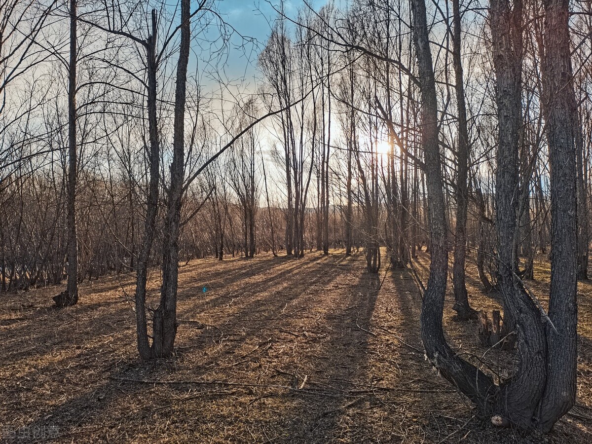实木地板要追求大品牌吗,实木地板就一定色差很大吗
