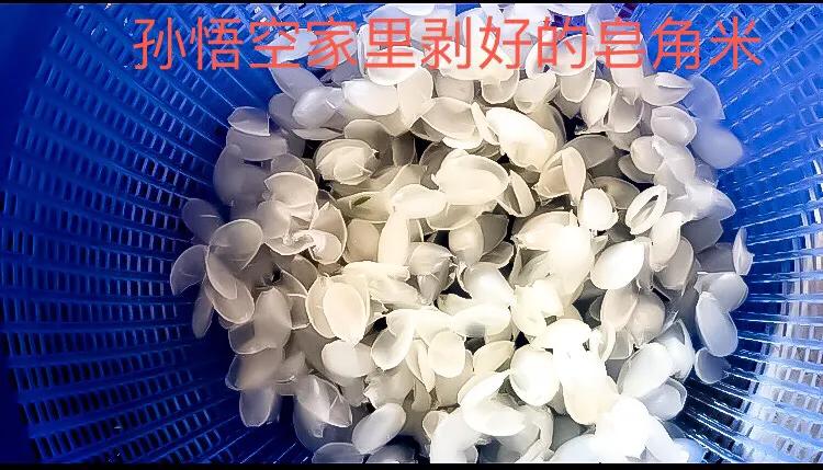 织金皂角米,单荚皂角米