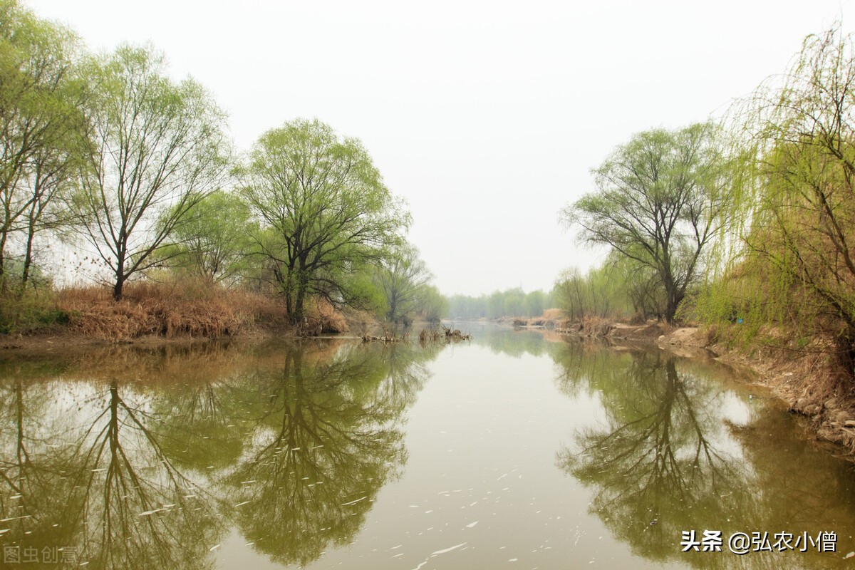 西安的春天视频,西安的春天是一个百花盛开的城市