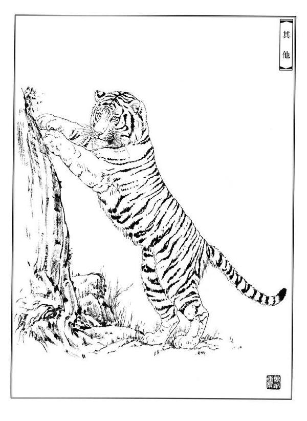 如何把虎画的虎虎生威，画出虎的气势？