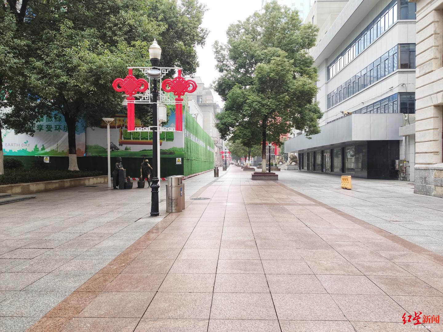 身处封城之下的武汉:下楼遛狗也不会去了,我只想在家不发烧就好