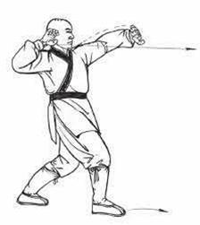 鹰抓鸟全过程,鹰爪的用法