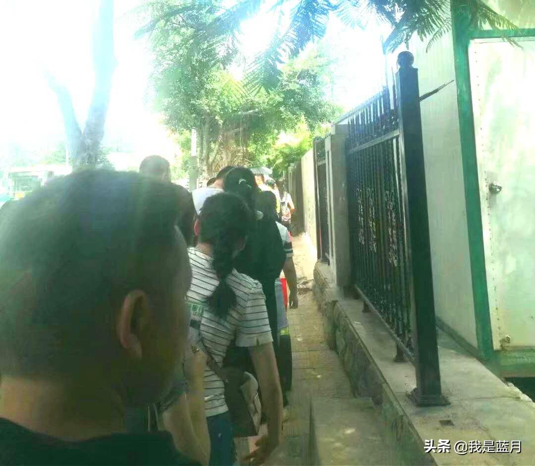 厦门清新之旅,厦门浪漫之旅散记之三