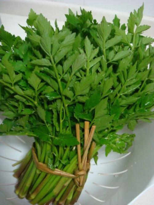 春天的野菜真好吃,时令野菜味道好极了