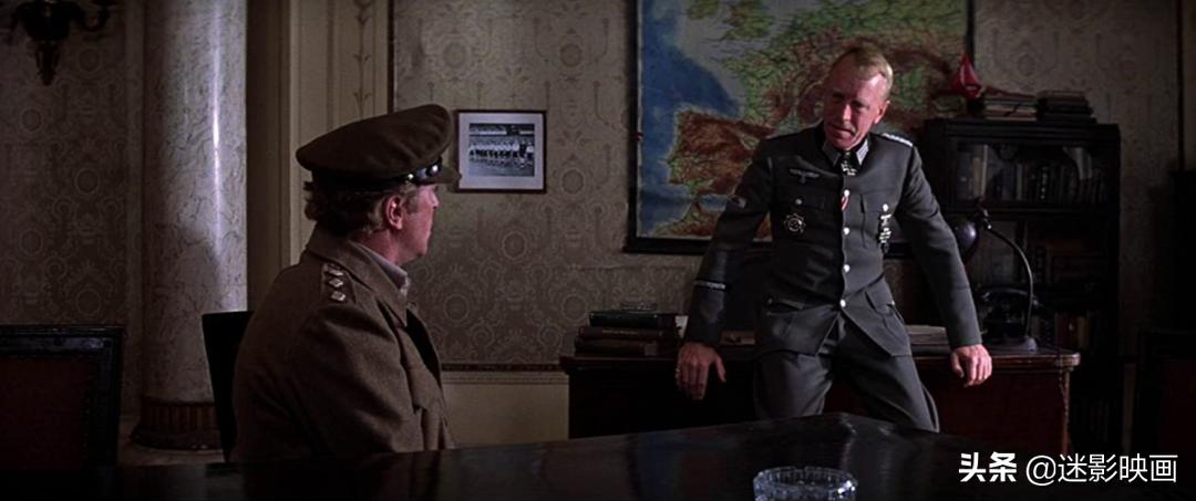 贝利史泰龙主演的电影,贝利和史泰龙合作的电影