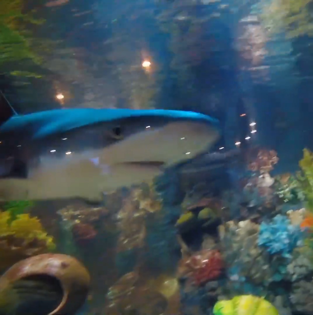 珍珠岛一日游,珍珠岛景点