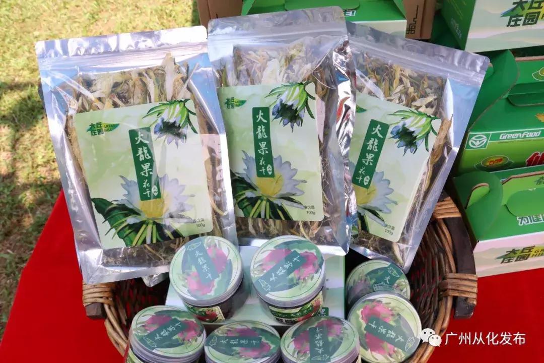 从化一日游最佳去处民宿,从化旅游线路攻略大全最新