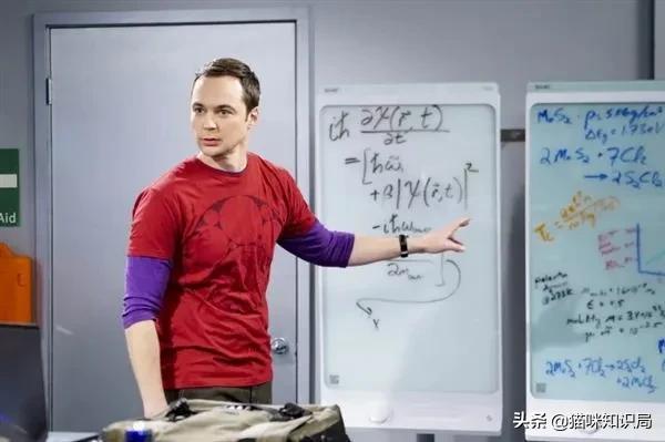 转发给爸妈：养猫到底有啥好？能治病