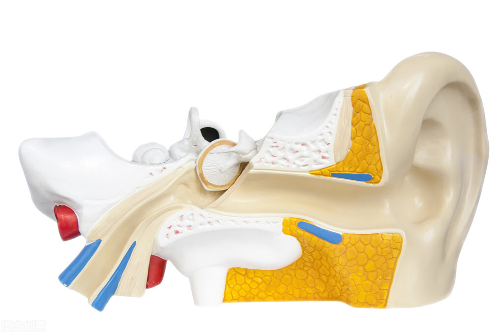 训练儿童前庭失调比较有效的方法,成年人前庭功能失调怎么训练
