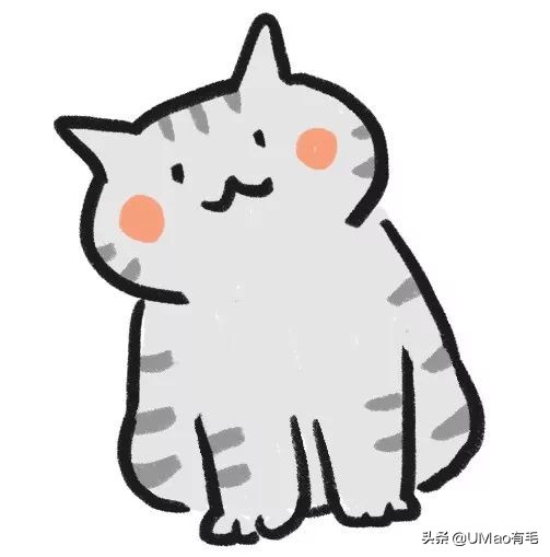 胖橘猫和黑猫,橘猫黑猫白猫哪个最可爱