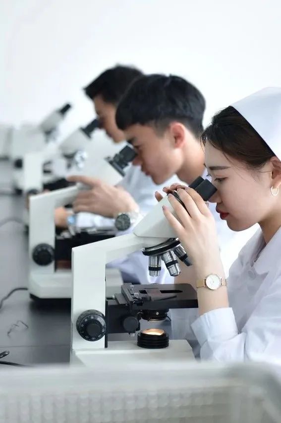 青岛黄海学院专科招生计划,青岛黄海学院单招情况