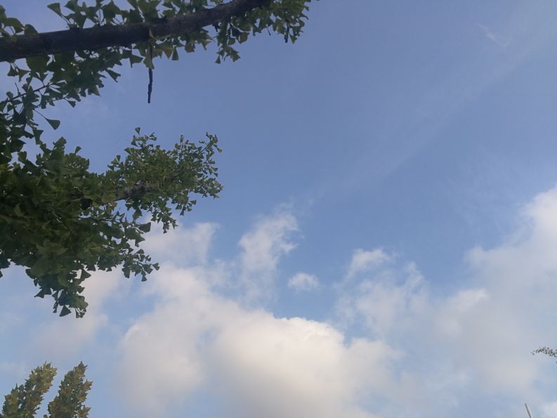 散文一缕墨香一丝牵挂,散文一朵丁香花