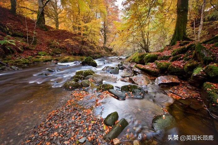 英国秋天好去处,英国秋天旅游必去的地方
