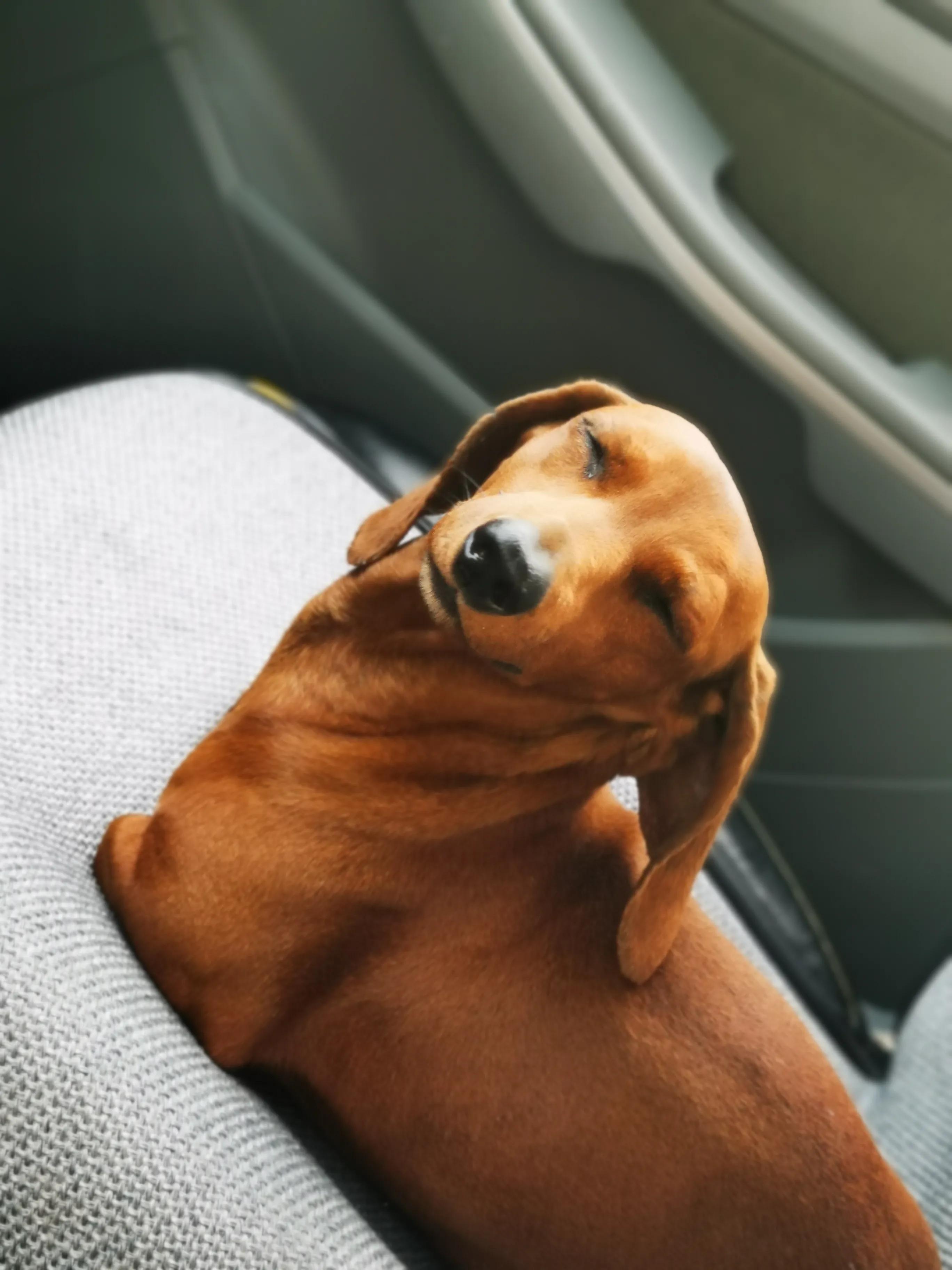 没经验能当检验员吗,当班长好还是当验收员好