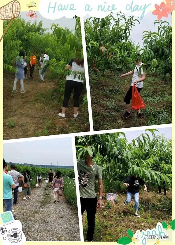 合肥休闲农庄排行榜前十名,合肥农庄转让或出租