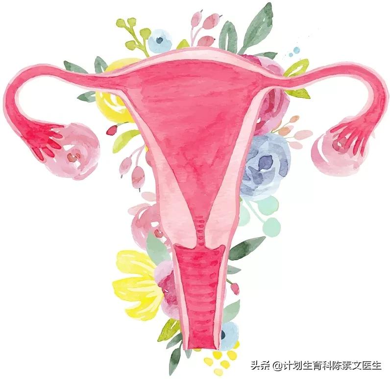 10个宫颈癌疫苗须知，弄清HPV是什么再打不迟！（下）