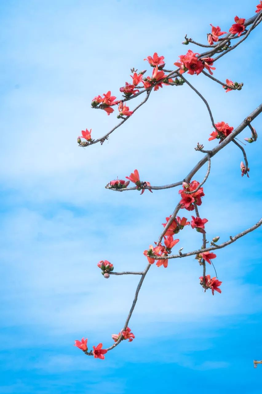有生之年一定要去四川吗,年轻时不能去四川吗