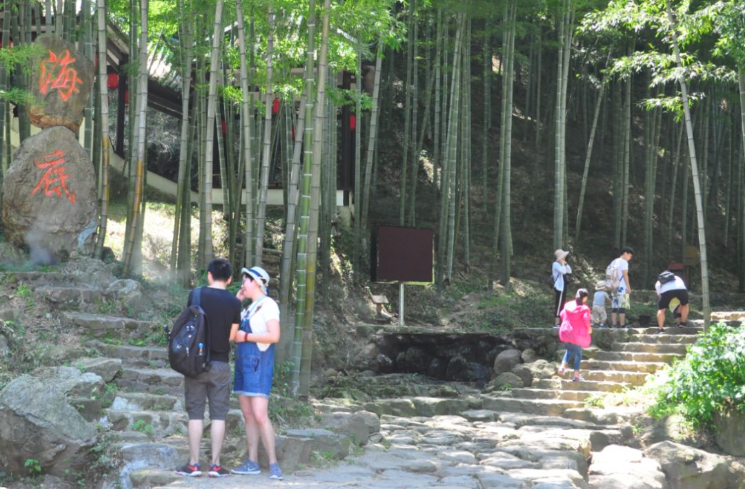 宜兴竹海玉女峰凌云阁,宜兴竹海登高望远视频
