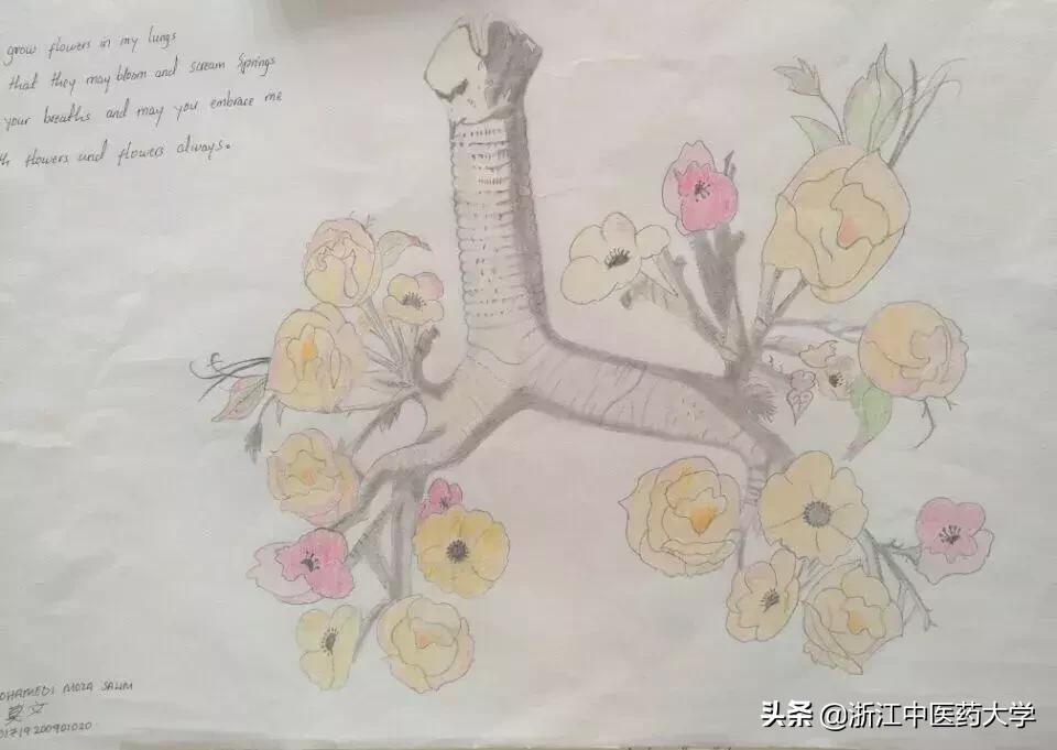 Amazing怎么写,wonderful怎么画