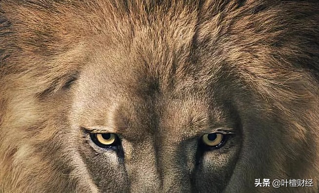 偏见让你爆仓！记住这两点涨8倍只是开始！