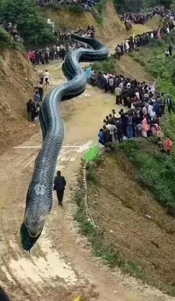 过滤器骗人的新闻,谣言过滤器骗局