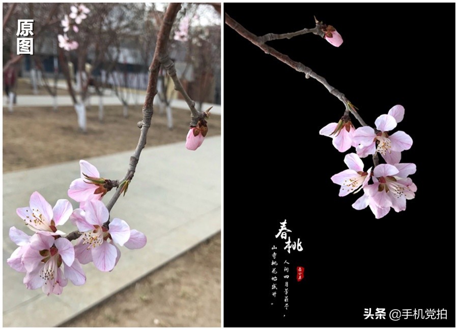 对镜自拍背景杂乱怎么虚化背景,如何把照片里面杂乱的背景虚化