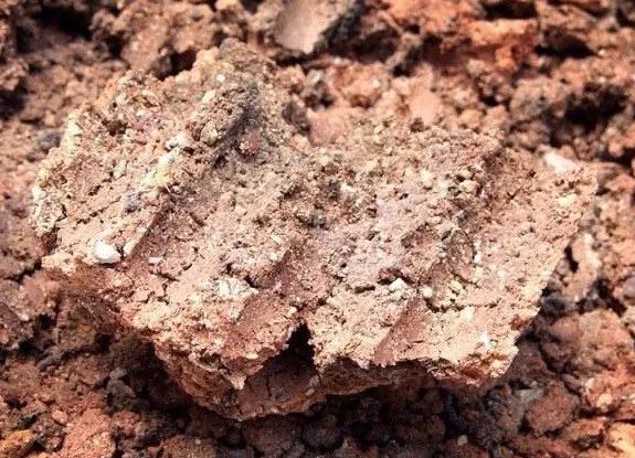 多肉变废为宝方法,废物利用养多肉