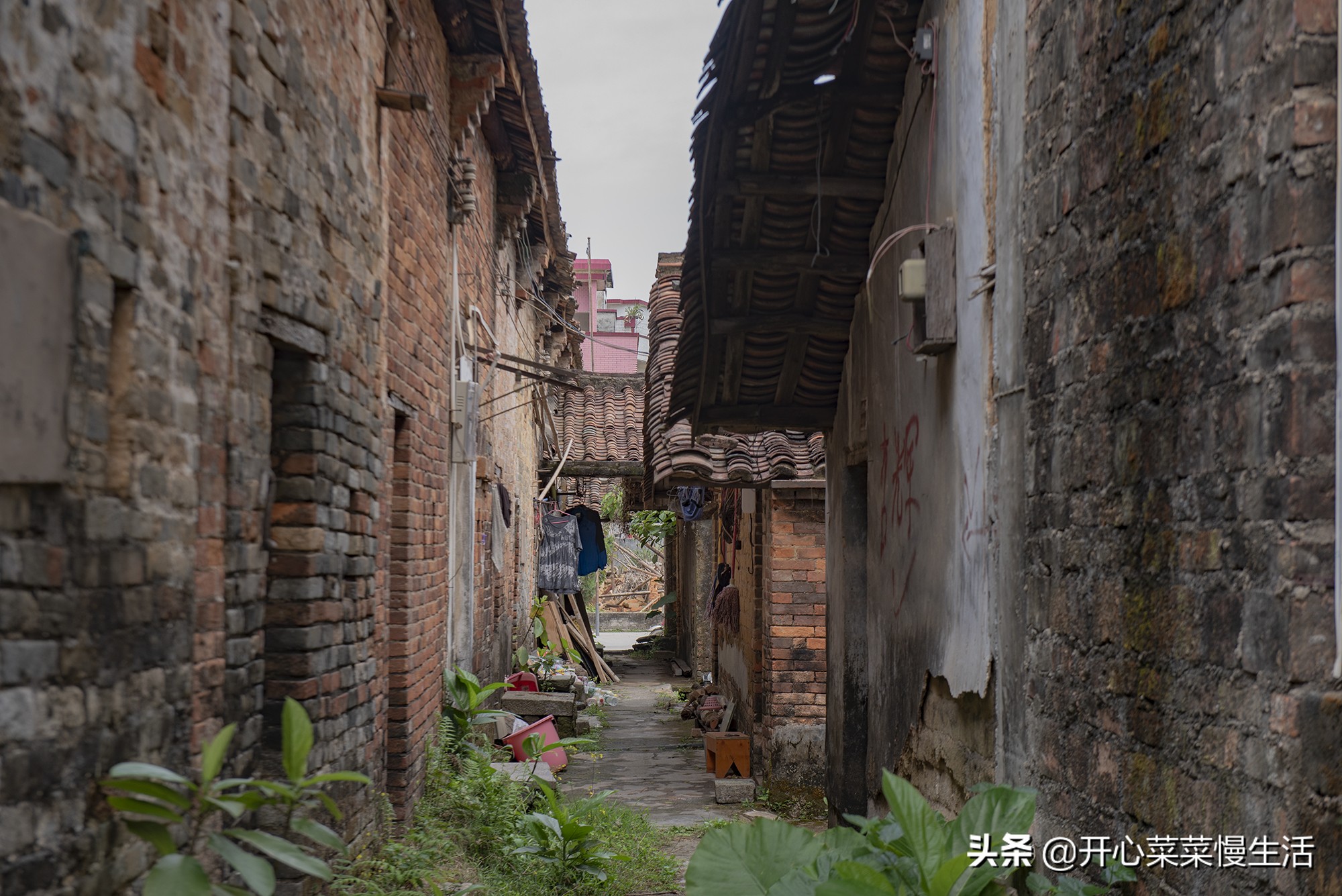 广州这个近900年历史古村要变了,广州古村落现状