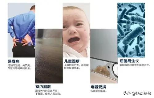 家里潮湿发霉掉墙皮怎么解决,家里太潮湿怎么解决