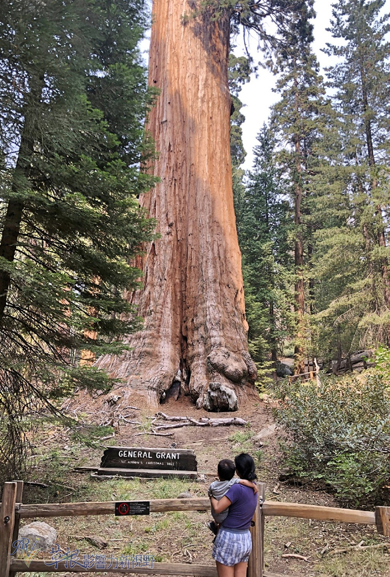阿尔山森林公园住宿攻略,红杉树酒店住宿