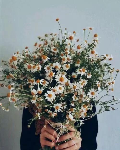 纯小白买花攻略,小白买股实操