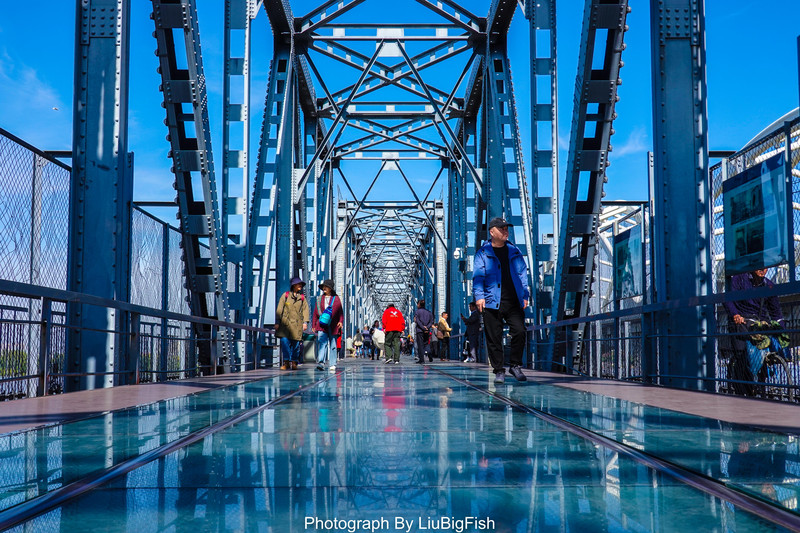 哈尔滨11月吃喝玩乐攻略,今夏哈尔滨旅游全攻略