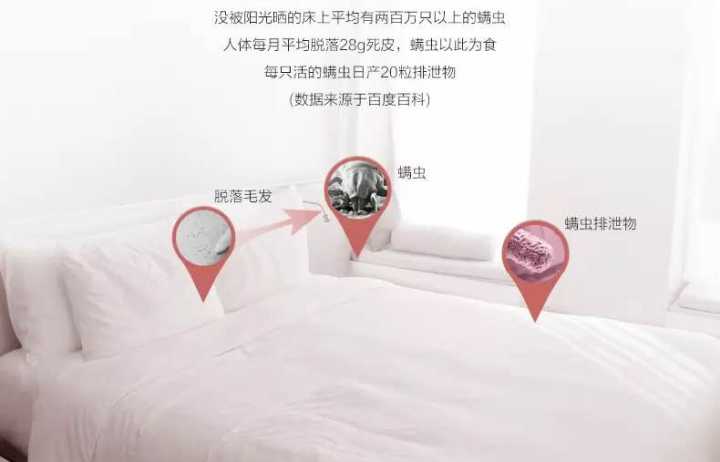 不用化妆无美颜无底妆的脸,干净脸的正确养成方法不用化妆品