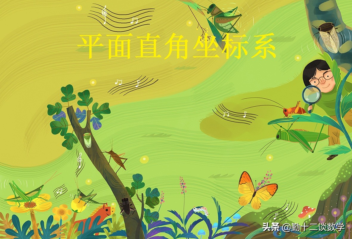 平面直角坐标系求三角形面积公式,已知三角形面积求点的坐标系的题