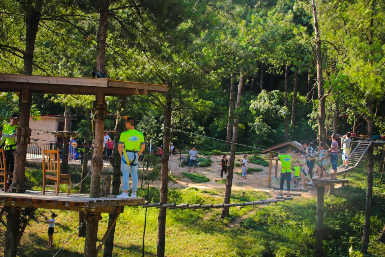 奥陶纪有哪些刺激的东西,奥陶纪最刺激项目